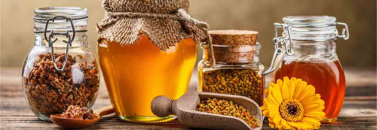 Официальные представители компании Королевская пчела